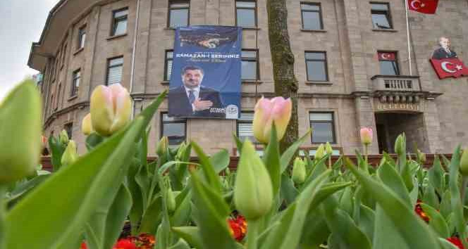 Giresun çiçeklerle renklendi