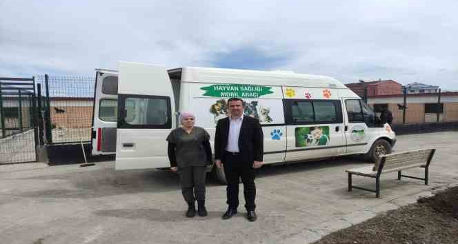 Kars’ta Sokak hayvanlarının tedavileri yapılıyor