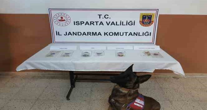 Isparta’da uyuşturucu operasyonlarında 15 kişi tutuklandı