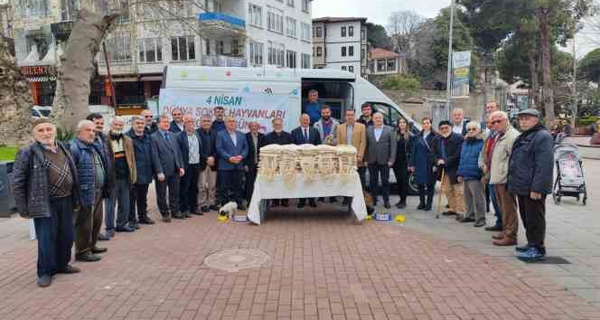 Sokak hayvanları unutulmadı