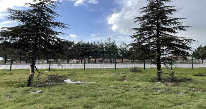 Burdur’da kontrolden çıkan araç refüje daldı: 1 kişi öldü, 3 kişi yaralandı