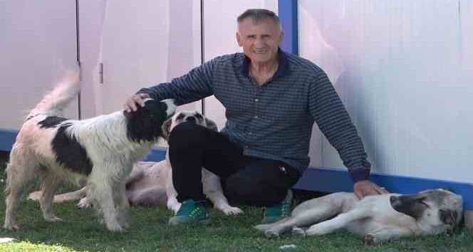 Depremzede, sokak köpeklerinin gönüllü bakıcısı oldu