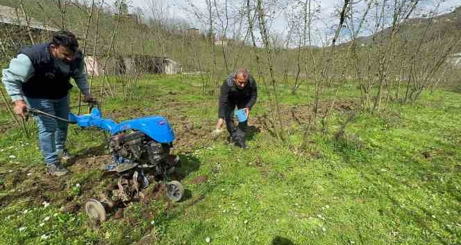 Fındıkta bilinçli gübre kullanımı verimi ikiye katladı