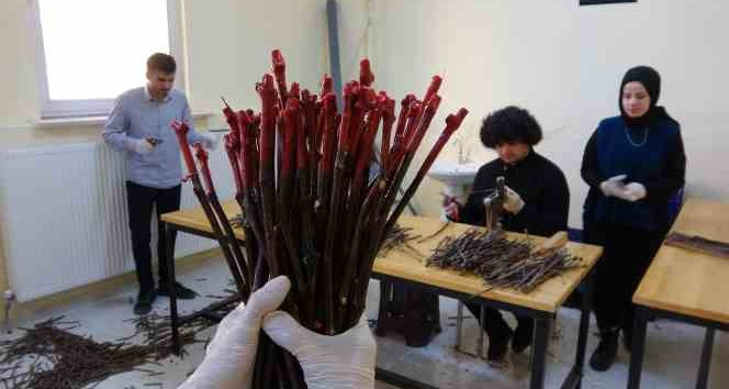 Yozgat’ta yörenin iklim ve toprak koşullarına uygun aşılı asma fidanı üretiliyor