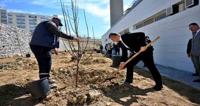 Mesai arkadaşlarından kızı vefat eden öğretim üyesine vefa: Kampüste meyve bahçesi oluşturdular