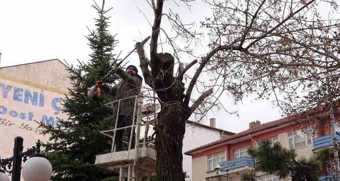 Yozgat Belediyesi ağaçlara bahar bakımı yapıyor