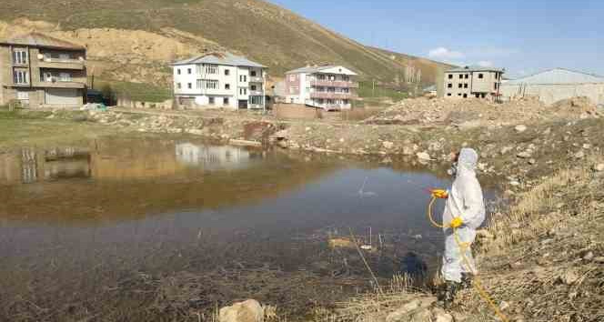 Yüksekova’da sinek ve haşerelere karşı ilaçlama çalışması