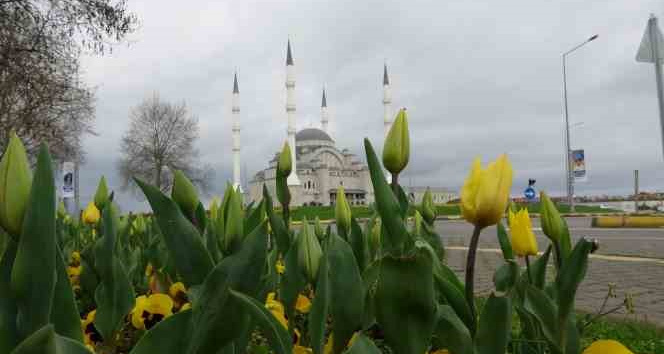 Tamamlandığında Doğu Karadeniz’in en büyük cami ve külliyesi olacak