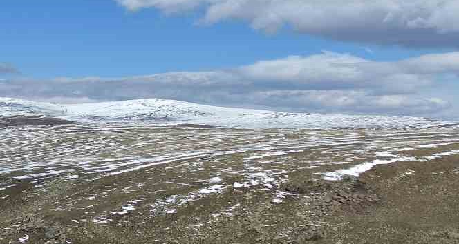 Ardahan’da kar yağışı etkili oldu