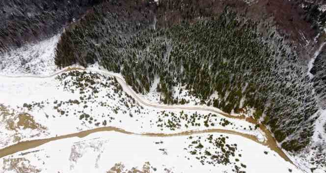 Gümüşhane yaylalarından kar ve sis manzaraları