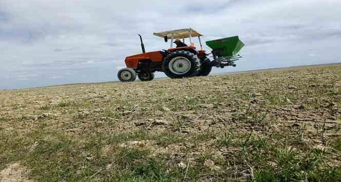 Kırşehir’de tarladaki mahsulleri soğuk vurdu