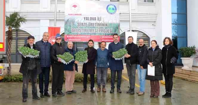 Yalova’da sebze üreticilerine 52 bin 550 adet hıyar fidesi dağıtıldı