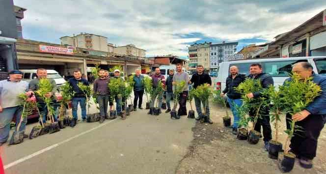 Altınordu’da 2 yılda 341 bin fidan toprakla buluşturuldu