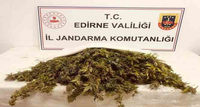 Jandarmadan zehir tacirlerine darbe