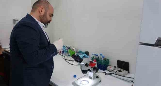 Uzmanı uyardı: “Çıplak elle keneye dokunmayın"