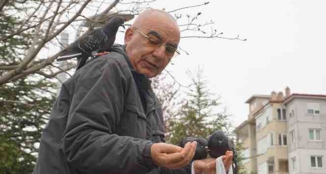 Her gün aynı saatte gelerek güvercinleri elleriyle besliyor