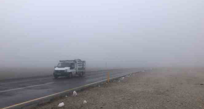 Kars’ta kar yağışı ve sis ulaşımı olumsuz etkiliyor