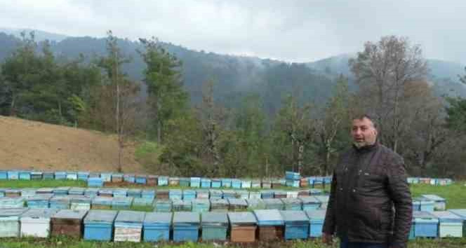 Devletten 30 kovan arı aldı, 230 kovana çıkardı