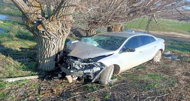 Otomobil ağaca çarptı: 3 yaralı