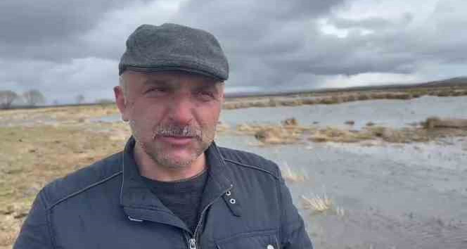 Çıldır Gölü sazlık alandaki su seviyesi arttı