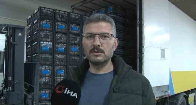 Kapadokya çileği ekonomiye 700 bin dolar katkı sağlıyor