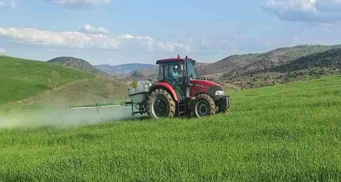 Yabani otlara karşı ekinler ilaçlanıyor