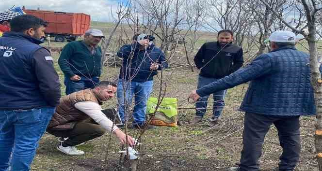 Çıldır’da meyve üreticilerine eğitim verildi