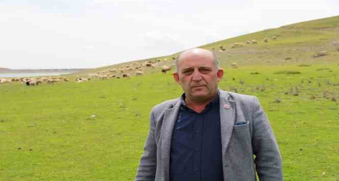 Keskin Mahalle Muhtarından sürüler için “Sınır İhlali” talebi