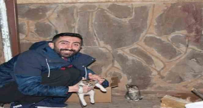 Yavru kediyi boğulmaktan kurtardı