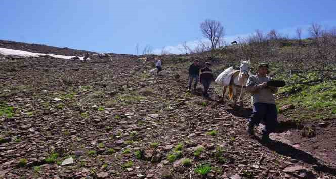 Terörün yerini huzura bıraktığı dağlar, insanlarla dolup taştı