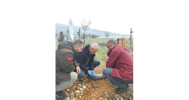 Yaralı gri balıkçıl kuşu, tedavi altına alındı