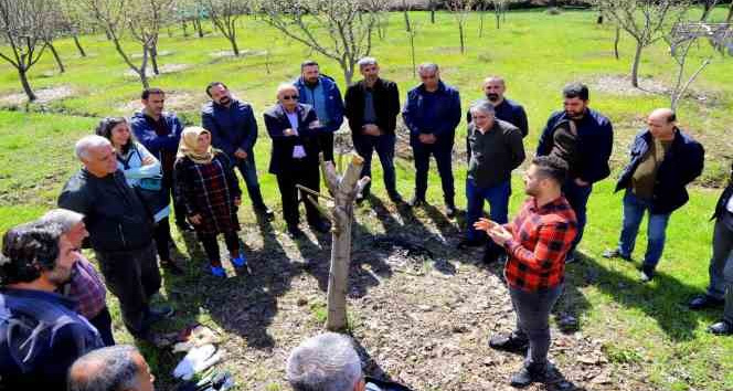 Bingöl’de ağaç budama ve aşılama eğitimi başladı
