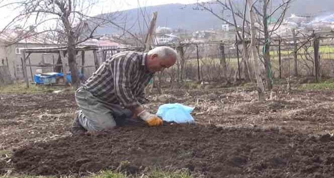 Muş’ta bahar hazırlıkları başladı