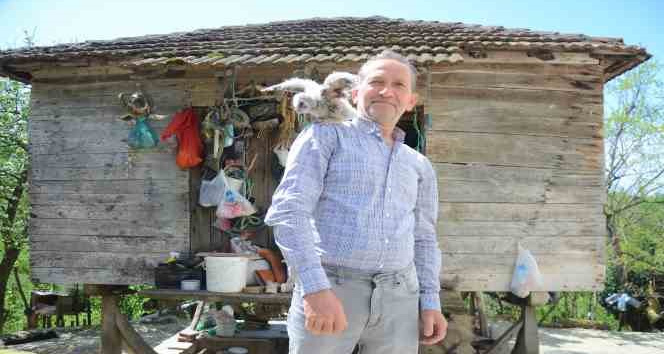 Baykuş ile vatandaşın 20 yıllık dostluğu