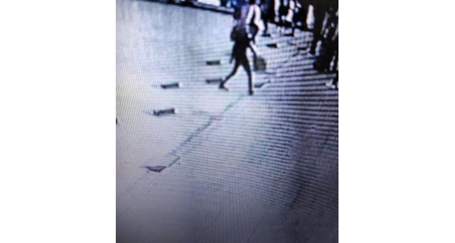 Kutu içerisindeki ölü köpek ekipleri harekete geçirdi