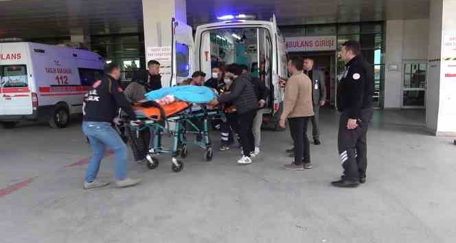 Tarlaya giren hayvan kavgası kanlı bitti: Öldürdüğü gardiyanın kardeşini de ağır yaraladı