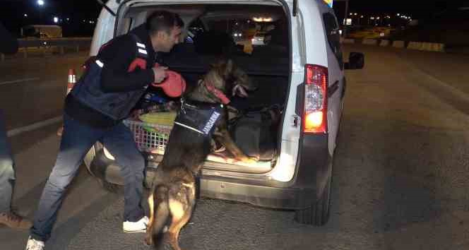 43 ilin geçiş güzergahında gece yarısı narkotik köpekli denetim: Araçlar didik didik arandı