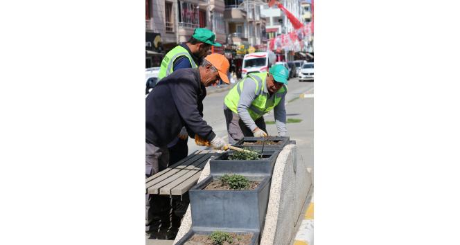 Iğdır’da şehir genelinde çiçek ekimi