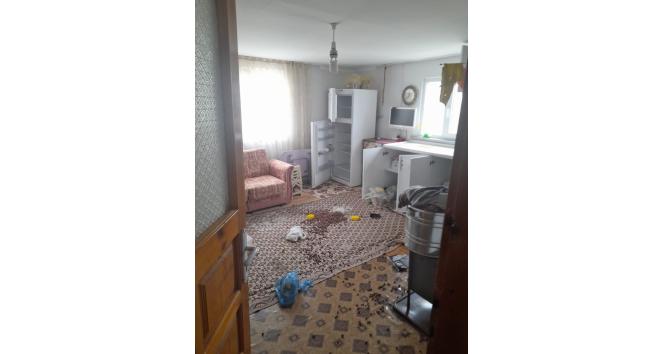 Gümüşhane’de ayılar yayla evlerine dadandı