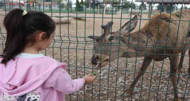 Vatandaşlar bayramda hayvanat bahçesine akın etti: 100 bin ziyaretçi