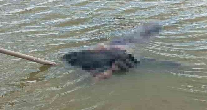 Arife günü kaybolan kadın nehirde ölü bulundu