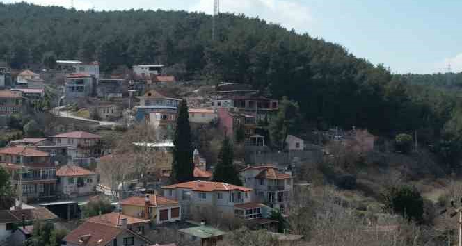 Asırlık camiye ve ormanlarına gözü gibi bakıyorlar