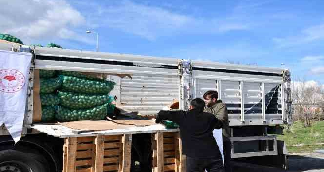 Ardahanlı çiftçilere kavılca buğdayı tohumu ve tohumluk patates dağıtıldı