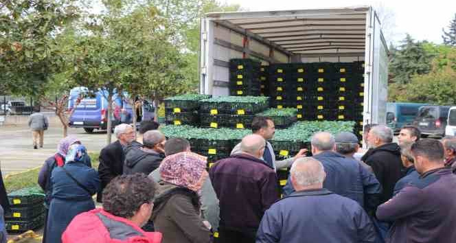 Yalova’da çiftçilere 252 bin adet sebze fidesi dağıttı