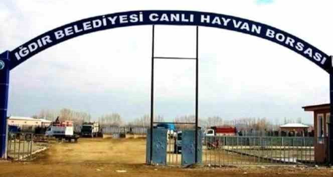 Iğdır Canlı Hayvan Borsası yarın açılıyor