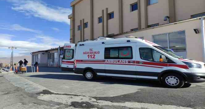 Ardahan’da yıldırım can aldı