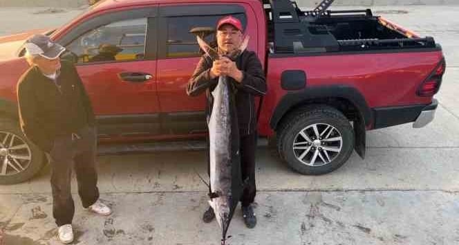 Gökçeada açıklarında 2 metre boyunda, 50 kiloluk Merlin balığı vurdu
