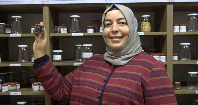 Muhafaza edilen ata tohumları çiftçilere dağıtıldı