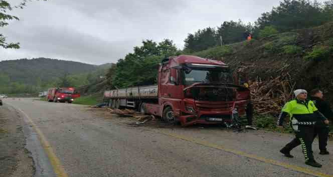 Tokat’ta odun yüklü tır devrildi: 1 yaralı