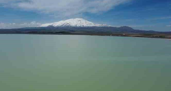 Kuş cenneti Arin Gölü’nde kuraklık tehlikesi